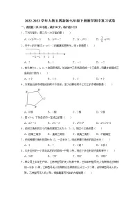2022-2023学年人教版（五四制）数学七年级下册期中复习试卷(含答案)