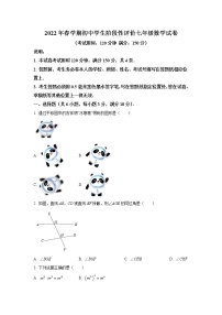 江苏省泰州市兴化市2021-2022学年七年级下学期期中学业阶段性评价数学试卷(含解析)