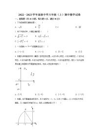 深圳市高级中学2022-2023学年八年级上学期期中考试数学试卷(含答案)