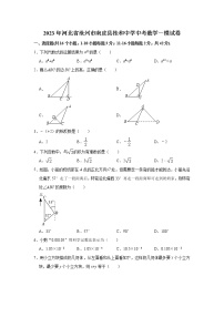 2023年河北省沧州市南皮县桂和中学中考数学一模试卷（含答案）