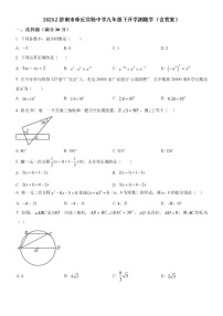 2023.2济南市章丘区九下开学测期末数学试题(无答案)