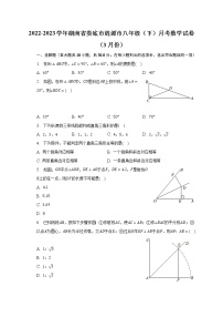 2022-2023学年湖南省娄底市涟源市八年级（下）月考数学试卷（3月份）（含解析）