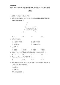 河北省邢台市威县2021-2022学年七年级下学期期末考试数学试卷