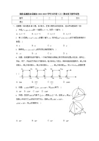 湖北省襄阳市宜城市2022-2023学年九年级上学期期末复习数学试卷（无答案）