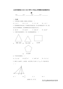 北京市朝阳区2022-2023学年八年级上学期期末检测数学试题（含答案）