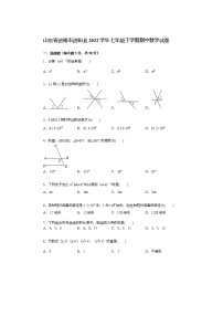 2021-2022学年济南市济阳区七年级下期中数学试卷B（无答案）