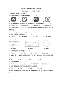 2021-2022学年济南市天桥区泺口实验中学七年级下期中数学试卷（无答案）