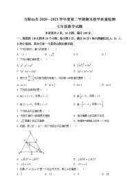 七年级下册数学沪科版·安徽省马鞍山市期末试卷附答案解析