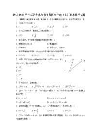 2022-2023学年辽宁省沈阳市于洪区八年级（上）期末数学试卷（含解析）