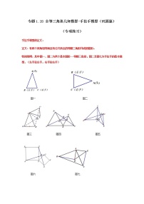 专题1.28 全等三角形几何模型-手拉手模型（巩固篇）（专项练习）-八年级数学上册基础知识专项讲练（苏科版）