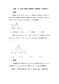 专题1.30 全等三角形几何模型-半角模型（专项练习）-八年级数学上册基础知识专项讲练（苏科版）