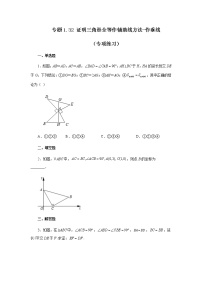 专题1.32 证明三角形全等作辅助线方法-作垂线（专项练习）-八年级数学上册基础知识专项讲练（苏科版）