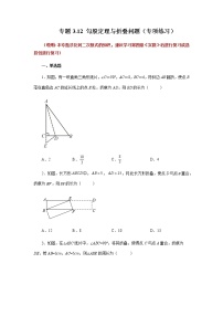 专题3.12 勾股定理与折叠问题（专项练习）-八年级数学上册基础知识专项讲练（苏科版）