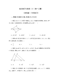 综合复习与测试（3）（第一二章）（培优篇）（专项练习）-八年级数学上册基础知识专项讲练（苏科版）