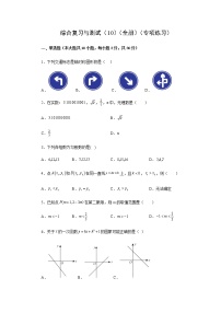 综合复习与测试（10）（全册）（专项练习）-八年级数学上册基础知识专项讲练（苏科版）