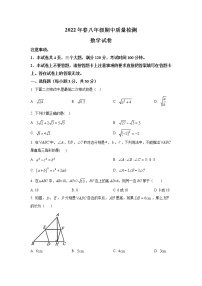 河南省商丘市柘城县2021-2022学年八年级下学期期中质量检测数学试卷(含解析)