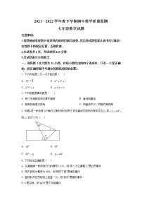 山东省泰安市肥城市（五四制）2021-2022学年七年级下学期期中教学质量监测数学试卷(含答案)