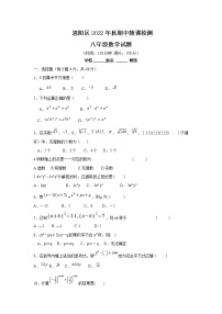 四川省巴中市恩阳区2022-2023学年八年级上学期11月期中学业水平质量检测数学试卷(含答案)