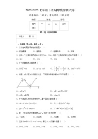 2022-2023学年苏科版七年级数学下册期中模拟测试卷（盐城卷）（原卷+解析）