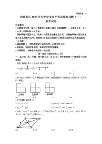 2023年陕西省西安市西咸新区中考第一次模拟数学试题(含答案)