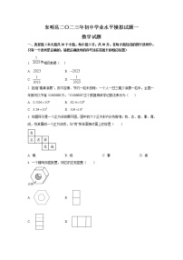 山东省菏泽市东明县2023届九年级学业水平模拟（一）数学试卷(含解析)