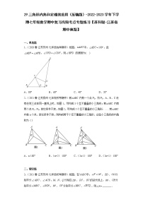 29三角形内角和定理的应用（压轴题）-2022-2023学年下学期七年级数学期中复习高频考点专题练习【苏科版-江苏省期中真题】