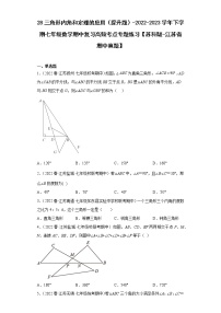 28三角形内角和定理的应用（提升题）-2022-2023学年下学期七年级数学期中复习高频考点专题练习【苏科版-江苏省期中真题】