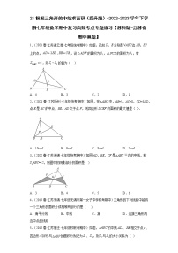 21根据三角形的中线求面积（提升题）-2022-2023学年下学期七年级数学期中复习高频考点专题练习【苏科版-江苏省期中真题】