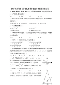 2023年湖南省长沙市长郡教育集团中考数学三模试卷(含解析)