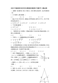 2023年湖南省长沙市长郡教育集团中考数学三模试卷+