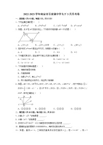 江苏省南京市百家湖中学2022-2023学年七年级下学期3月月考数学试卷