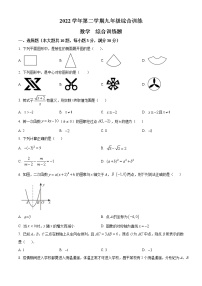 广东省广州市华南师范大学附属中学2022-2023学年九年级下学期3月月考数学试卷