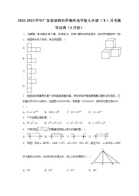 2022-2023学年广东省深圳市罗湖外语学校九年级（下）月考数学试卷（3月份）（含解析）