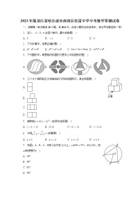 2023年黑龙江省哈尔滨市南岗区松雷中学中考数学零模试卷（含答案）