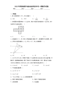 2023年河南省驻马店市泌阳县中考一模数学试题(含答案)