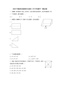 2023年陕西省渭南市合阳三中中考数学一模试卷（含解析）