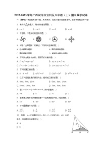 2022-2023学年广西河池市宜州区八年级（上）期末数学试卷（含解析）