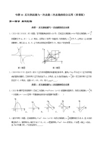 专题11 反比例函数与一次函数二次函数的综合运用-2023年中考数学二轮复习核心考点专题提优拓展训练