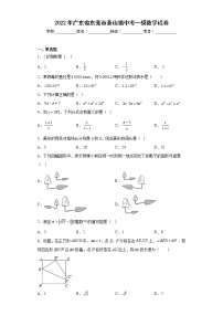 2022年广东省东莞市茶山镇中考一模数学试卷-（含答案）