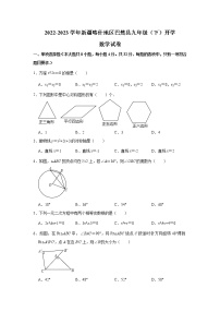 新疆喀什地区巴楚县2023届九年级下学期线下教学适应性检测（开学考试）数学试卷(含解析)