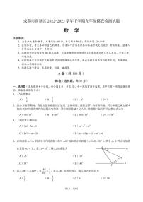 成都市高新区2022-2023学年下学期九年级摸底检测数学试题及参考答案