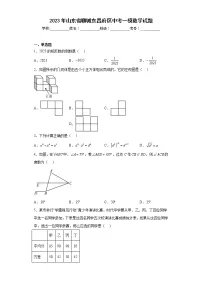 2023年山东省聊城东昌府区中考一模数学试题(含答案)