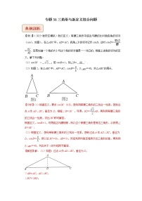 2023年中考数学二轮复习压轴题培优练习专题31三角形与新定义综合问题（教师版）