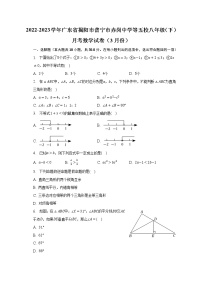 2022-2023学年广东省揭阳市普宁市赤岗中学等五校八年级（下）月考数学试卷（3月份）(含解析）