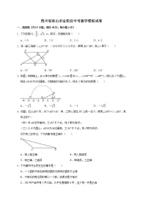 2022年四川省凉山市金阳县中考数学模拟试卷（教师版）