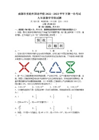 2023年四川省成都市实验外国语学校中考一模数学试题