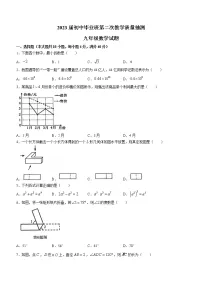 2023年安徽省合肥市庐江县中考二模数学试题(含答案)