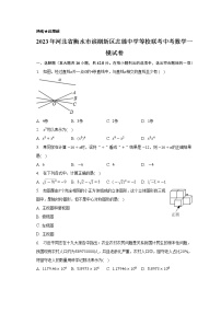 2023年河北省衡水市滨湖新区志臻中学等校联考中考数学一模试卷（含答案）