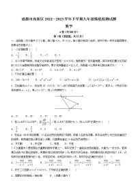 2023年四川省成都市高新区中考一模数学试题（含答案）