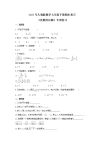 2023年人教版数学七年级下册期末复习《实数的运算》专项复习(含答案)